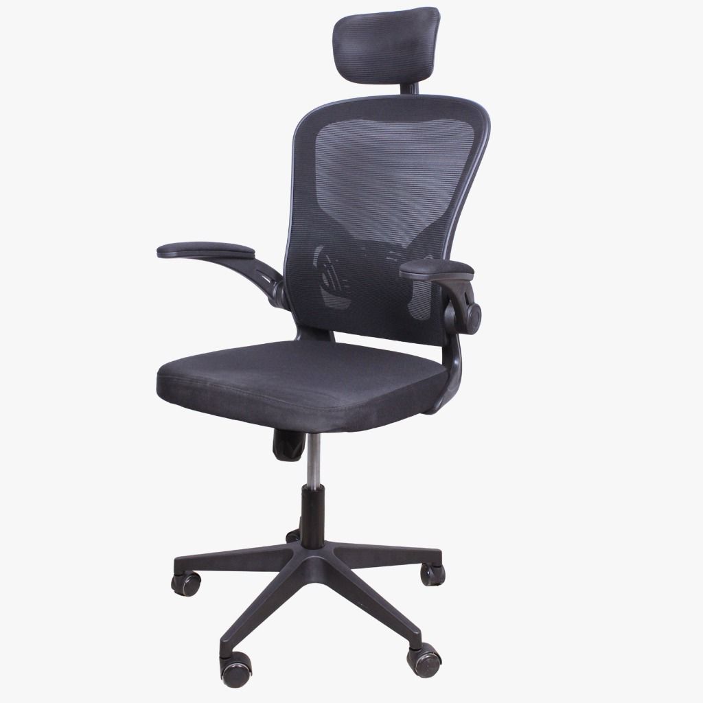 ErgoPro Mesh Chair with Adjustable Headrest